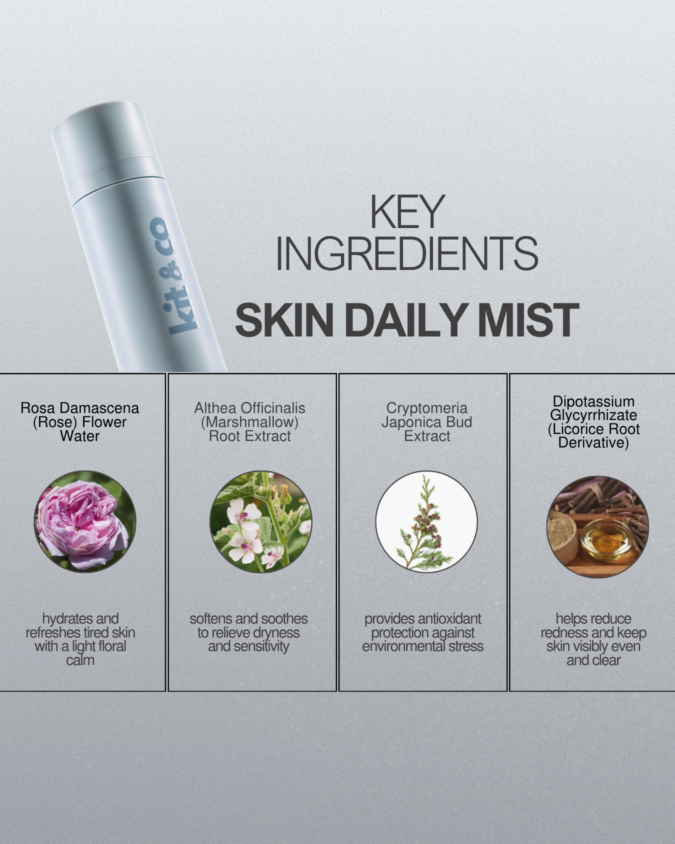 Daily Skin Mist